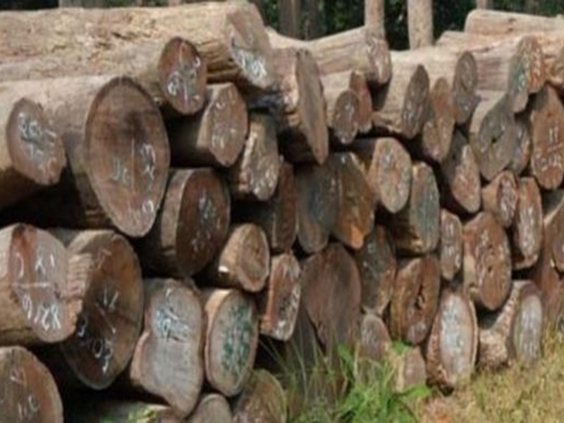 ४८ क्युफिट सालको काठसहित एक पक्राउ